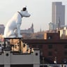 r/Albany icon