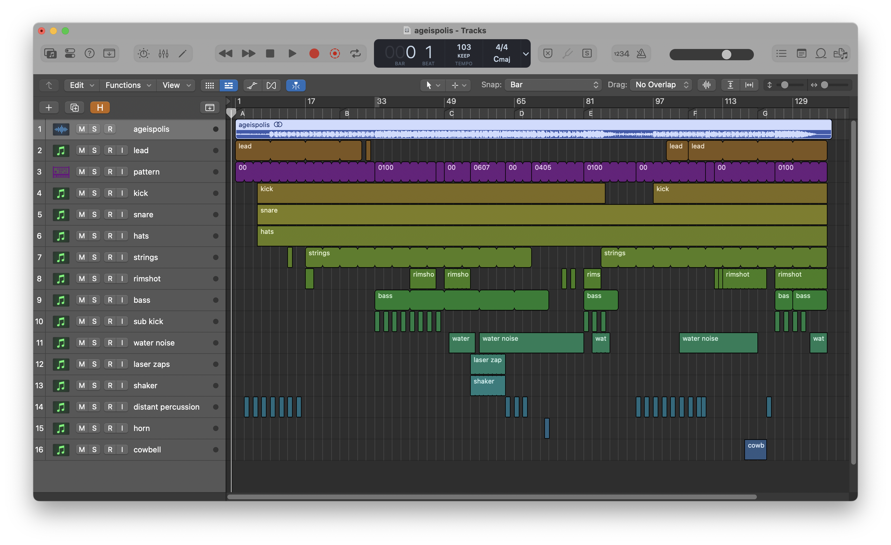 Block diagram of the structure of Ageispolis
