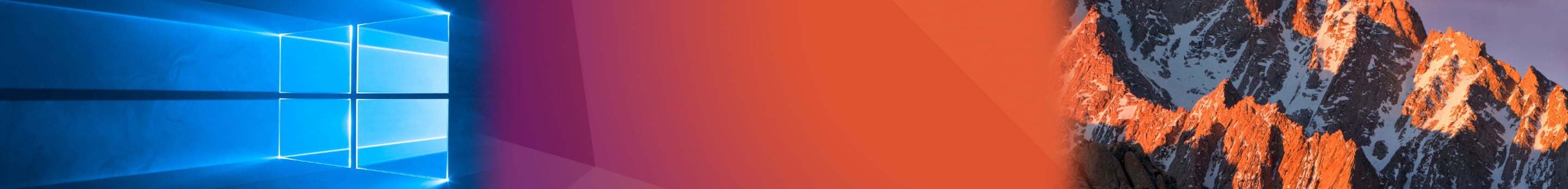 A banner for the subreddit
