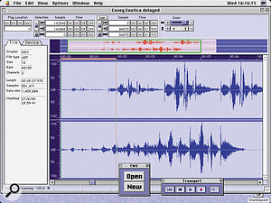 Tiny Wave Editor has just one screen, and this is it. Here an entire sample is shown in the top display, plus a zoomed portion in the large working area. All the sample's 'personal' details are listed on the virtual file card to the left. You can do any editing here that you'd be able to do in the A4000/5000, plus more.