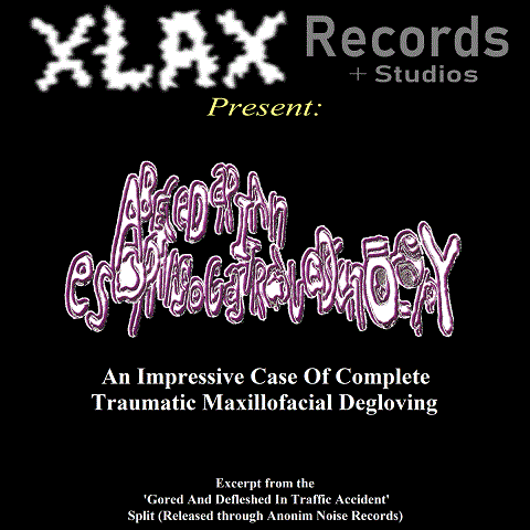 XLAX0019